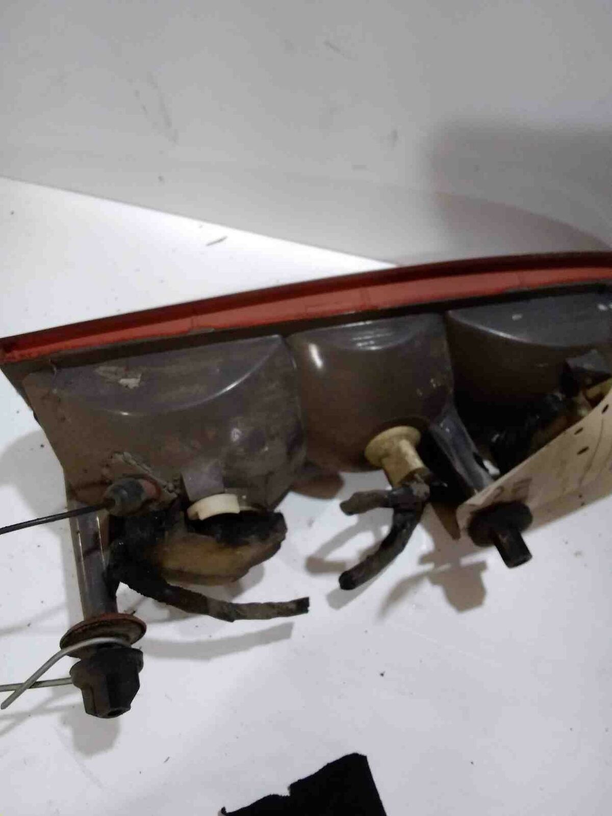 Tail Light Assembly OLDSMOBILE Right 87